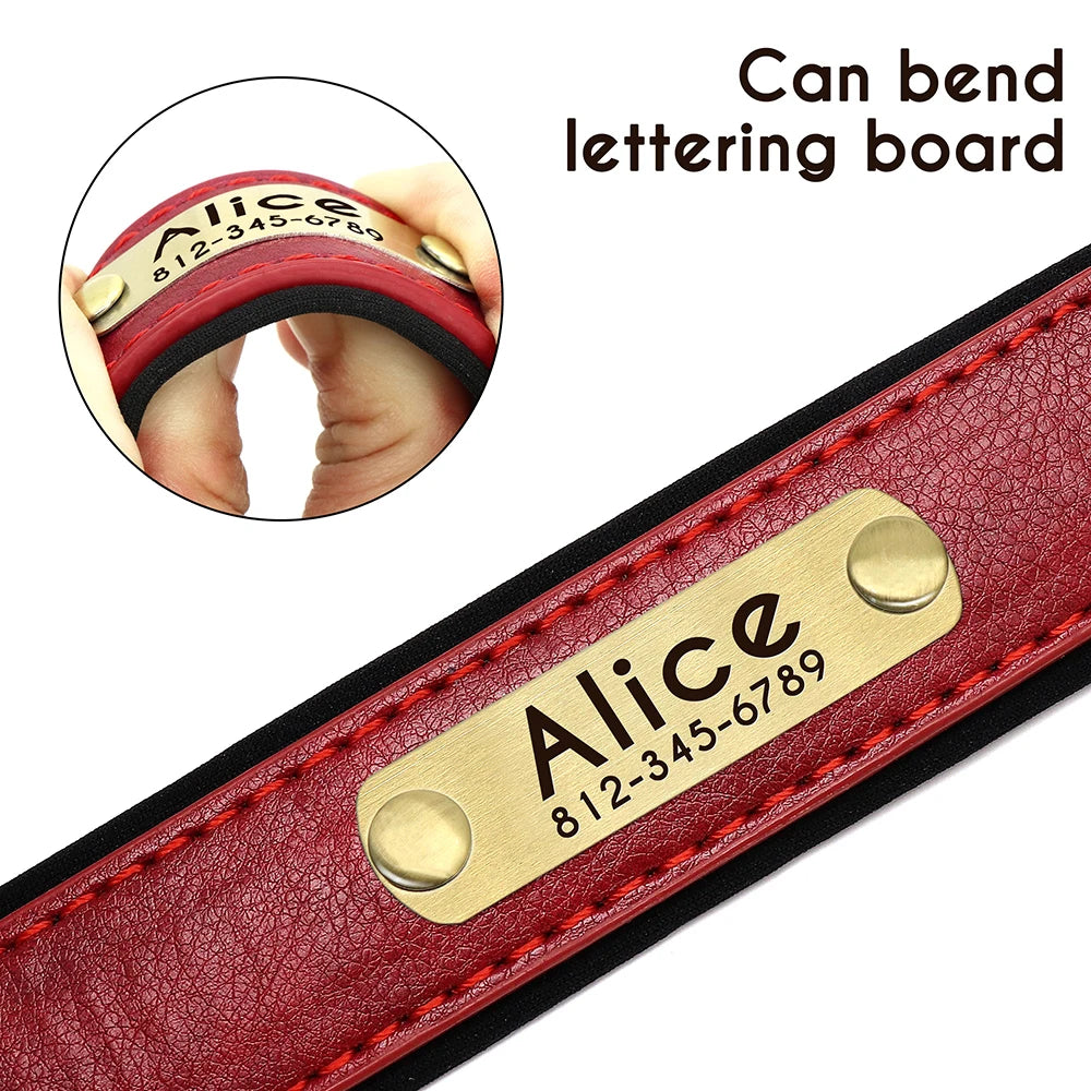 Customized Soft Padded Leather Collar