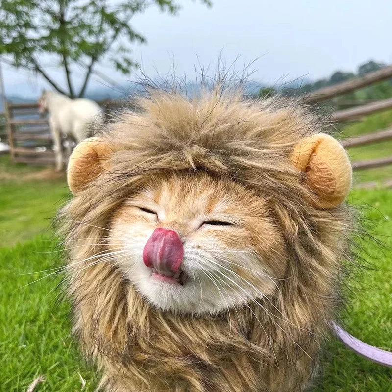 Lion Costume