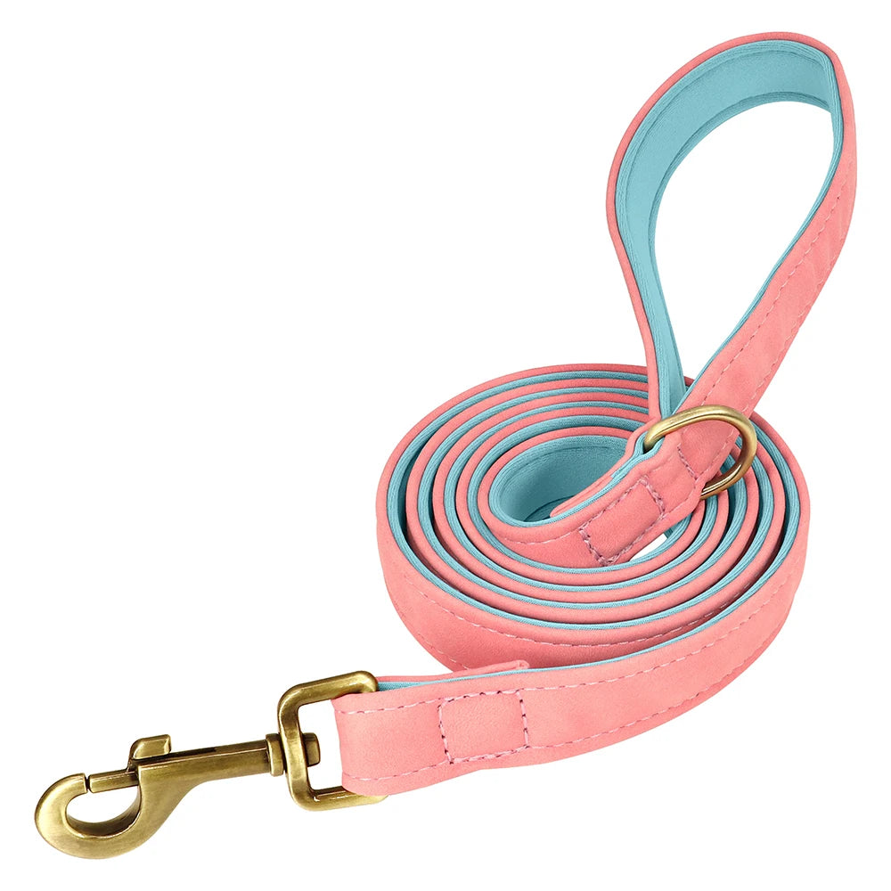 Customized Soft Padded Leather Collar