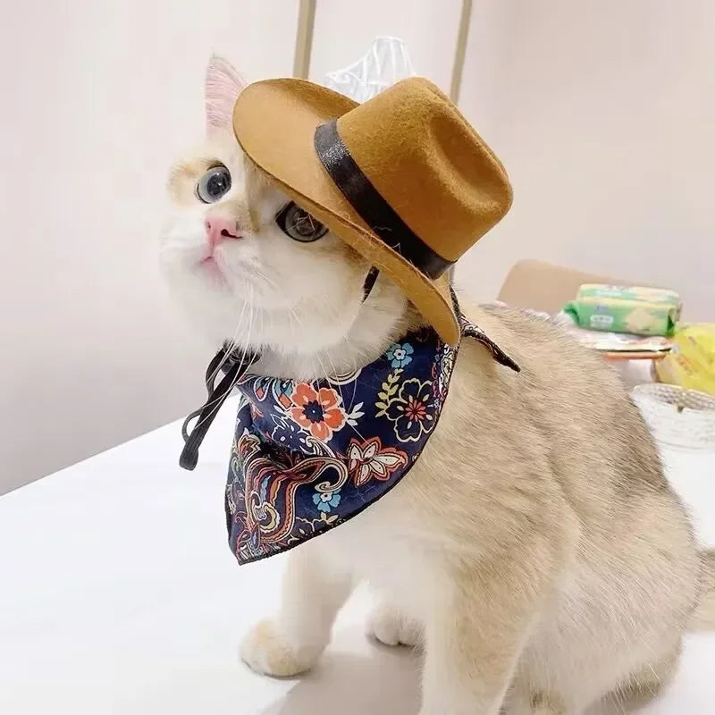Fashion Halloween Pet Costumes