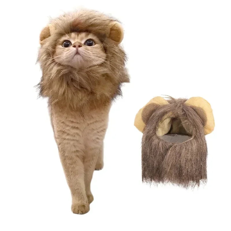 Lion Costume