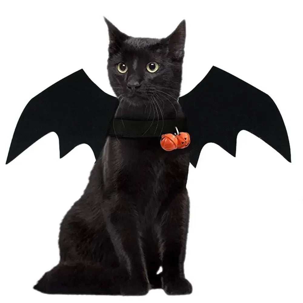 Fashion Halloween Pet Costumes