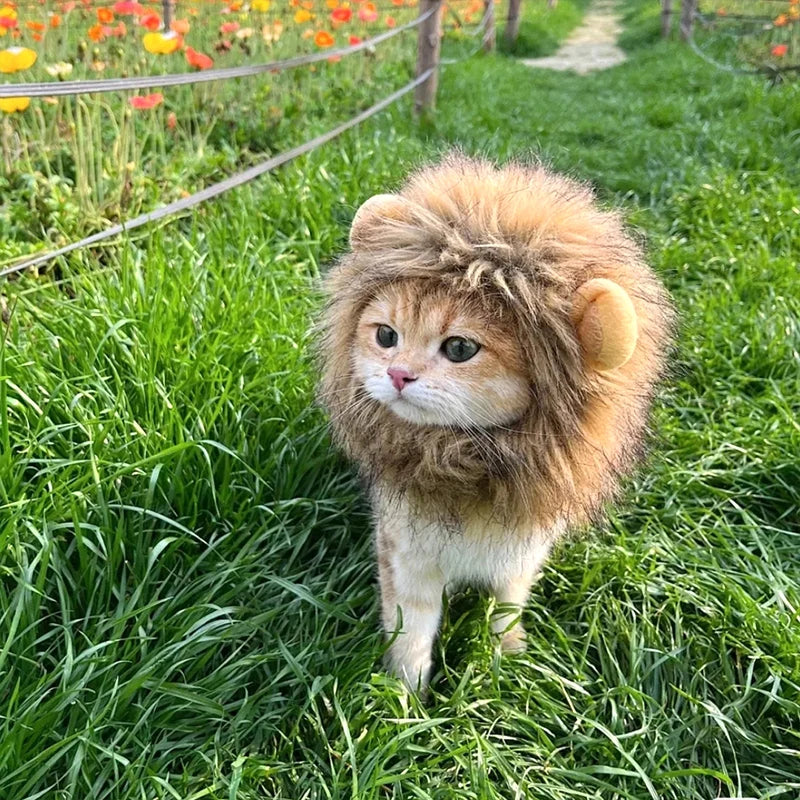 Lion Costume