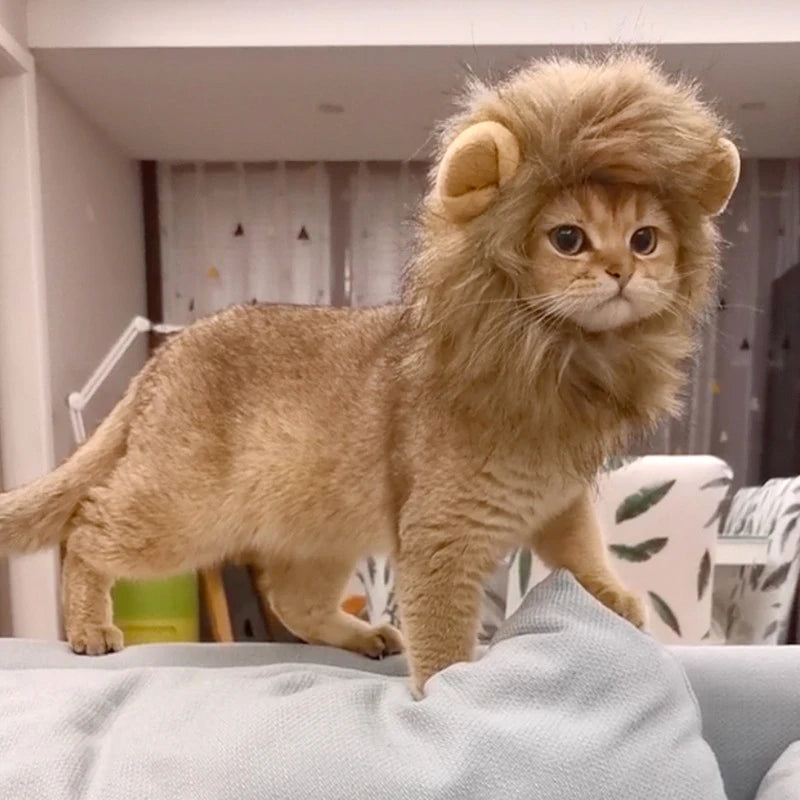 Lion Costume