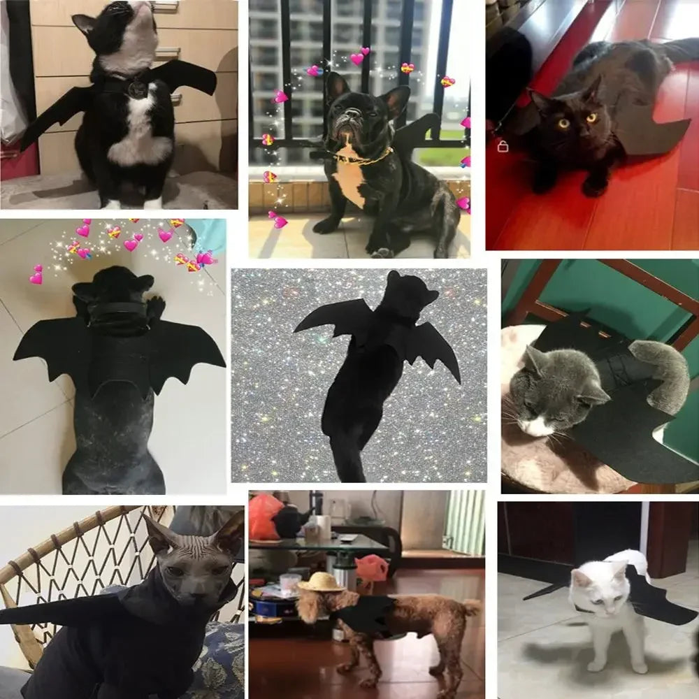 Fashion Halloween Pet Costumes
