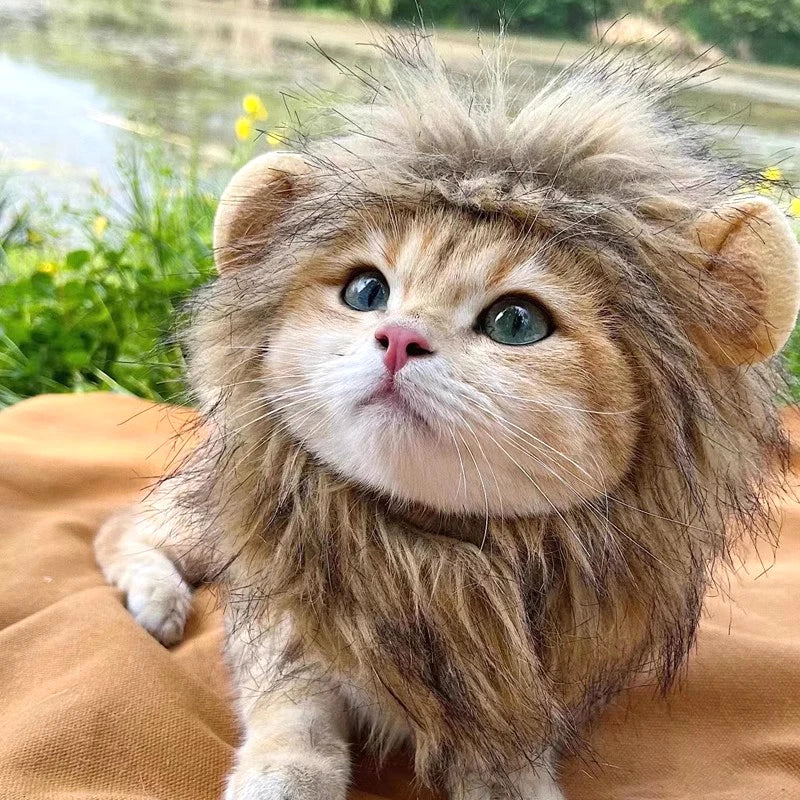 Lion Costume