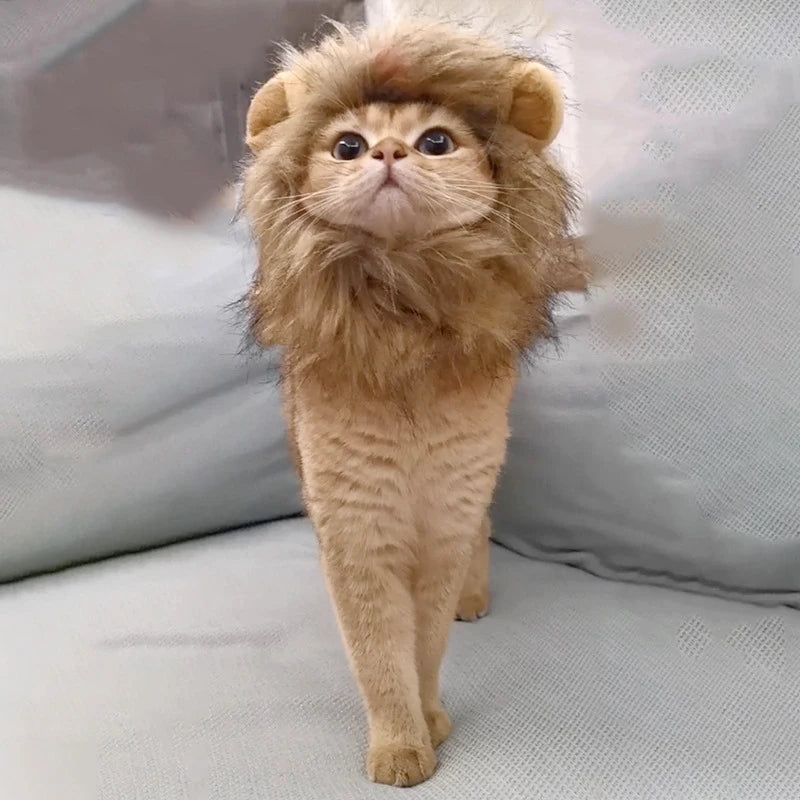 Lion Costume