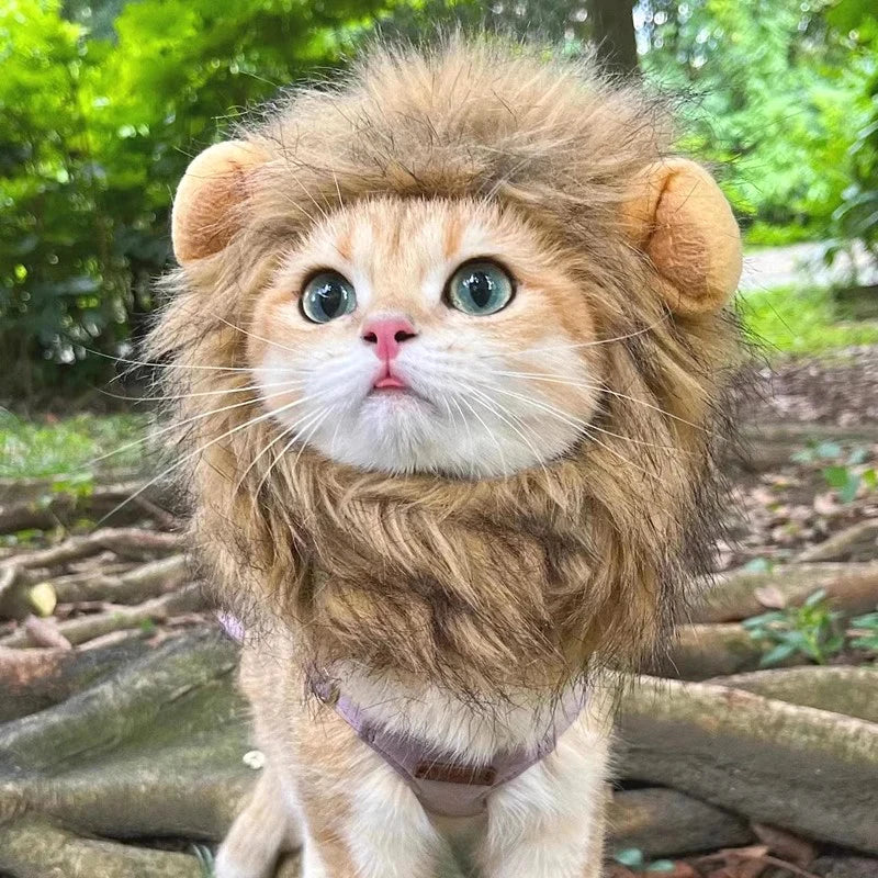 Lion Costume