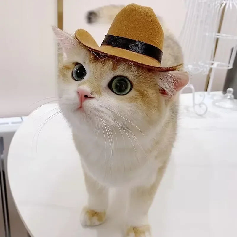 Fashion Halloween Pet Costumes