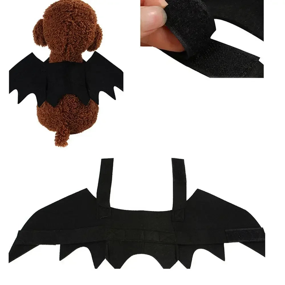 Fashion Halloween Pet Costumes