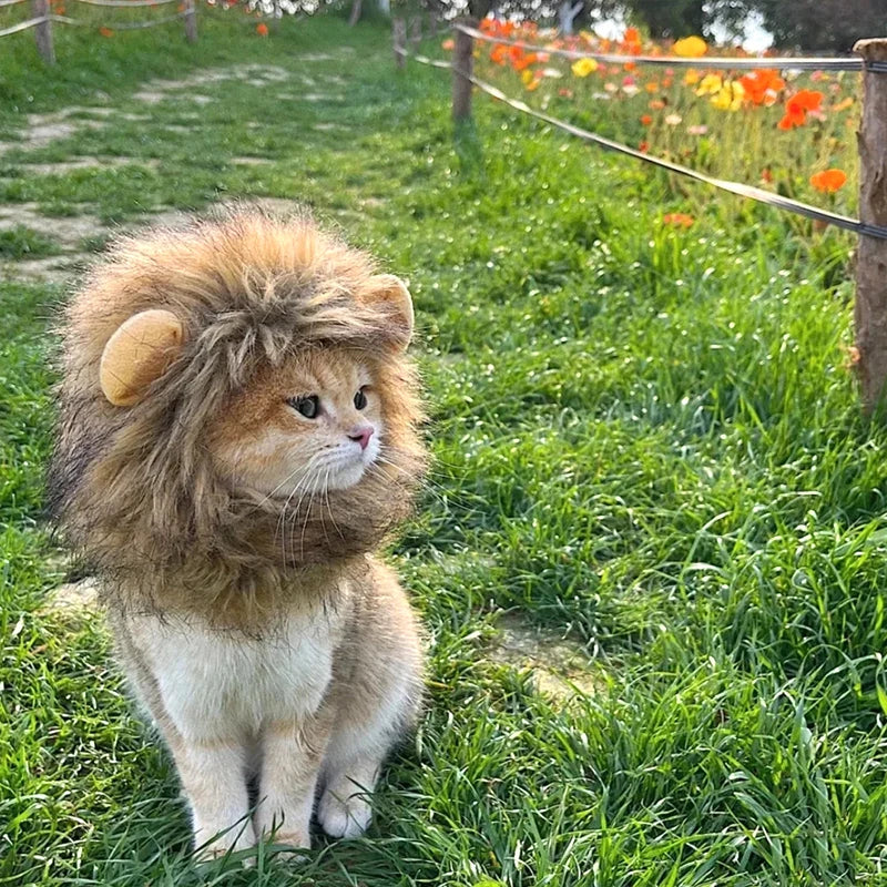Lion Costume
