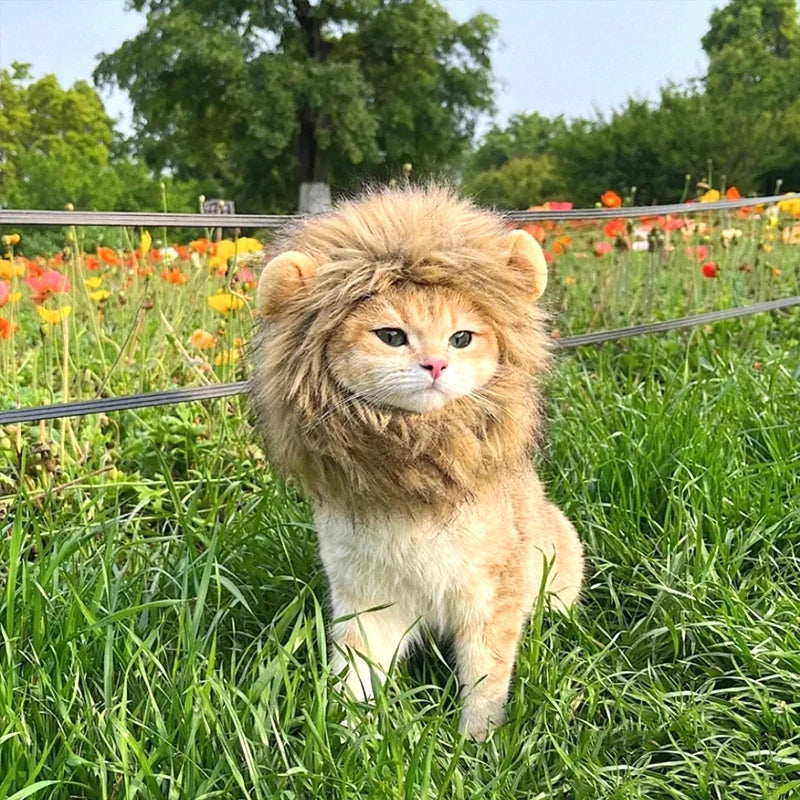 Lion Costume