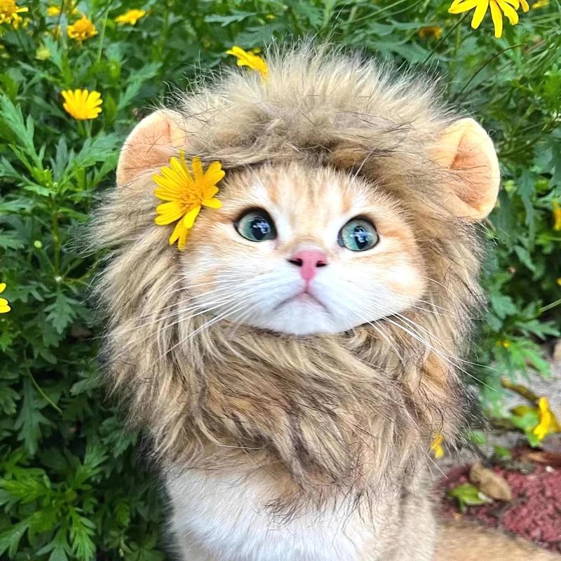 Lion Costume