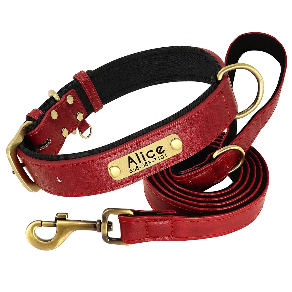 Customized Soft Padded Leather Collar
