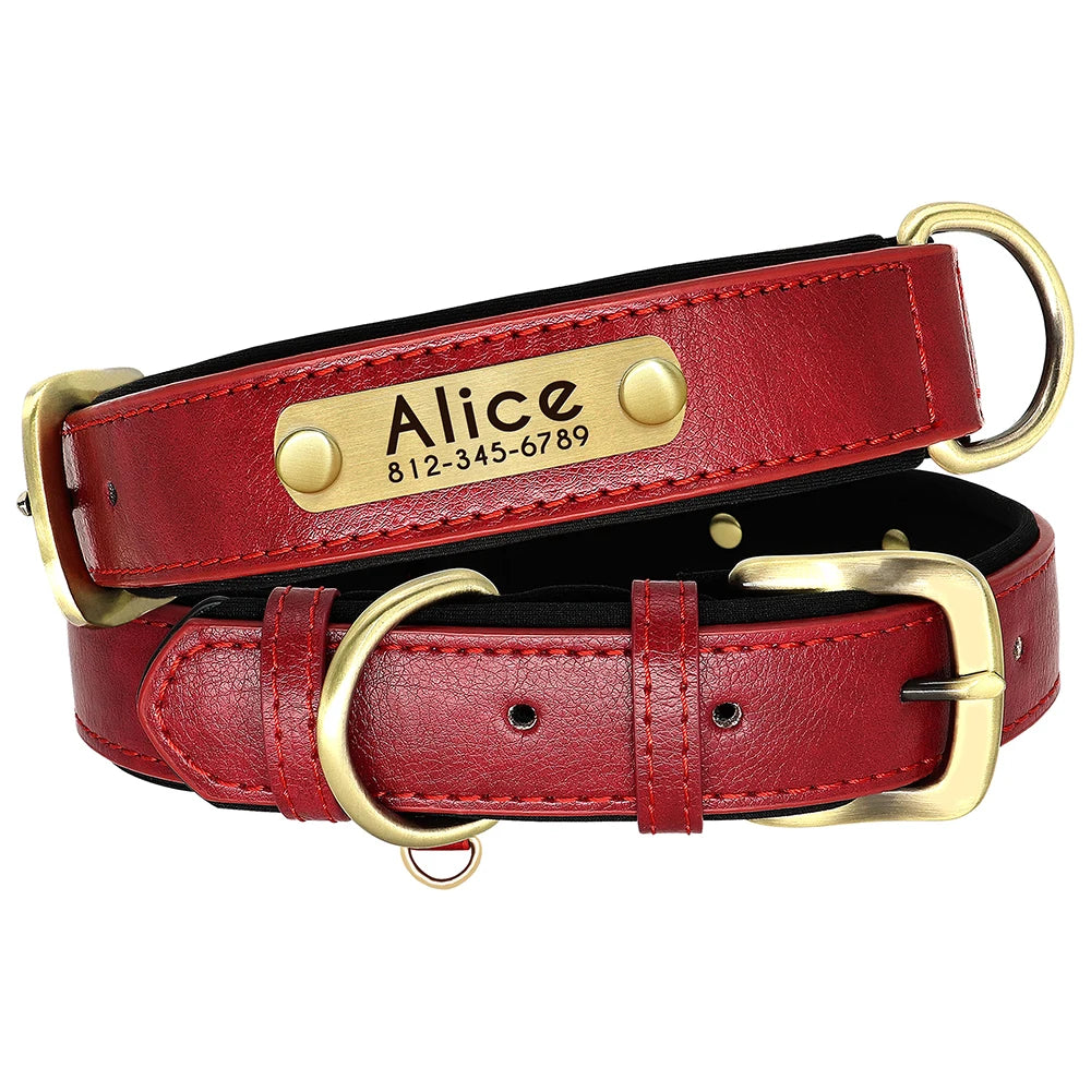 Customized Soft Padded Leather Collar