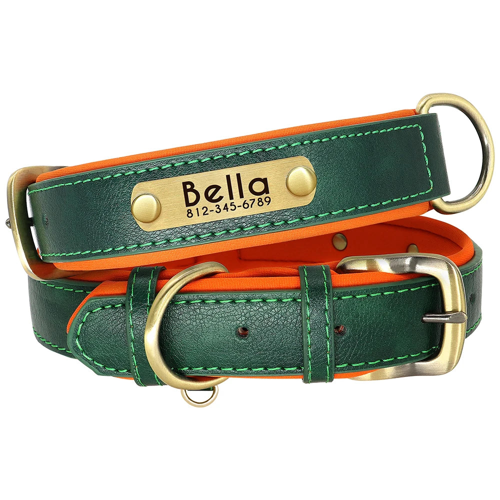 Customized Soft Padded Leather Collar