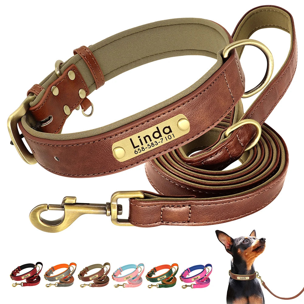 Customized Soft Padded Leather Collar