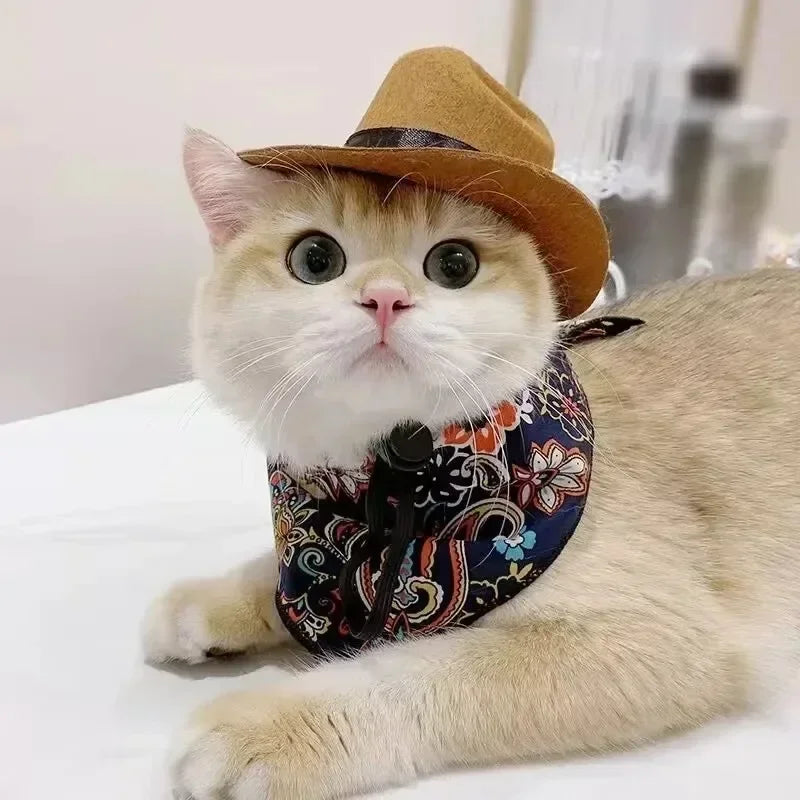 Fashion Halloween Pet Costumes