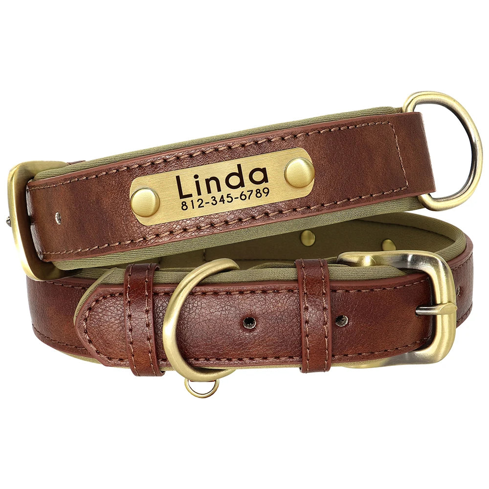 Customized Soft Padded Leather Collar