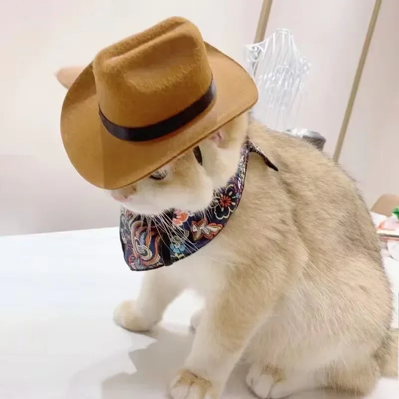 Fashion Halloween Pet Costumes