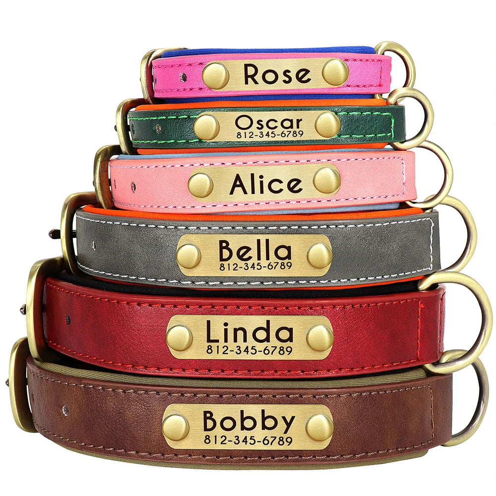 Customized Soft Padded Leather Collar