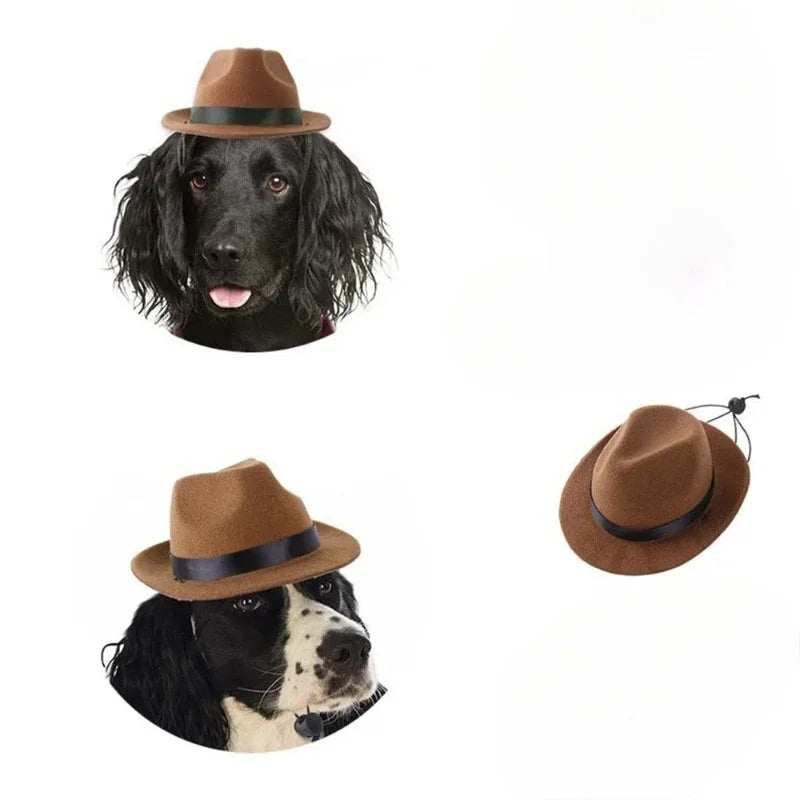 Fashion Halloween Pet Costumes