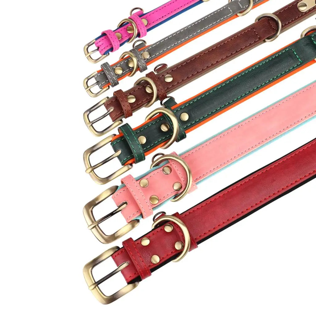 Customized Soft Padded Leather Collar
