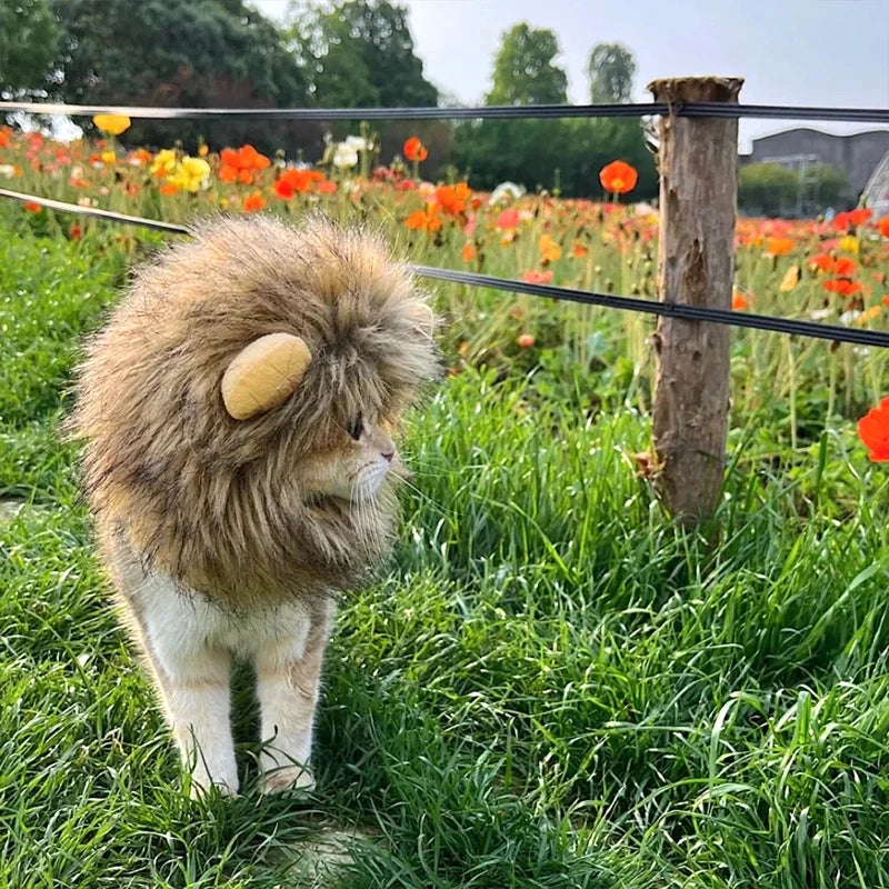 Lion Costume