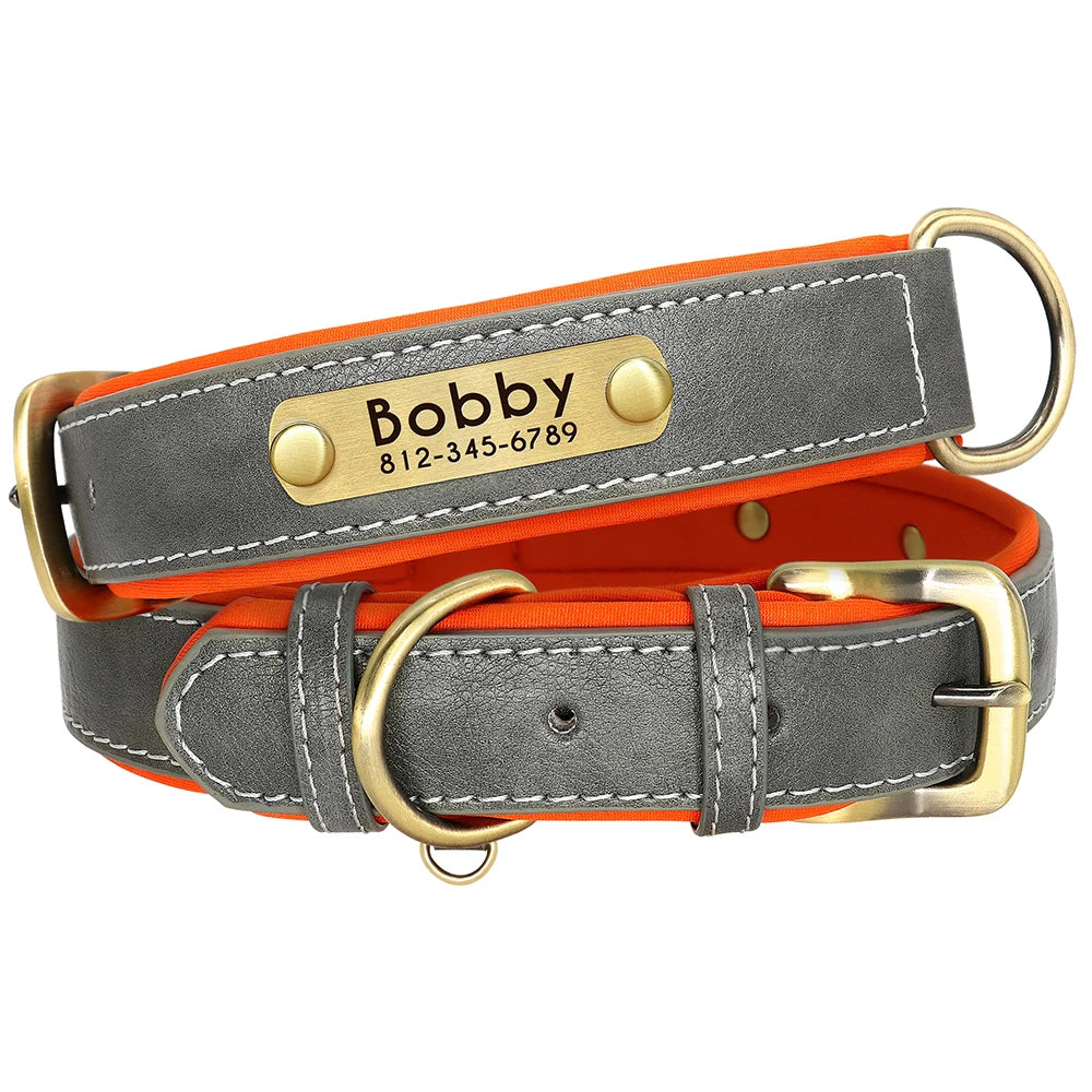 Customized Soft Padded Leather Collar