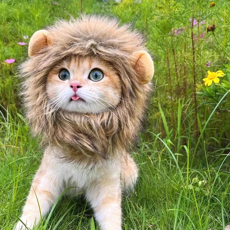 Lion Costume
