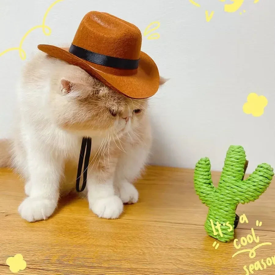 Fashion Halloween Pet Costumes