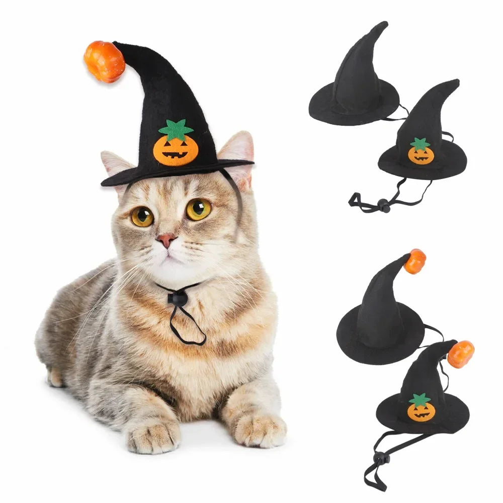 Fashion Halloween Pet Costumes