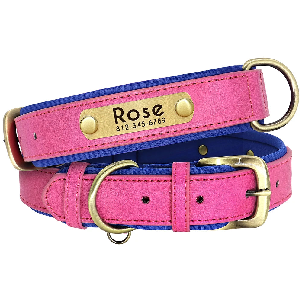 Customized Soft Padded Leather Collar
