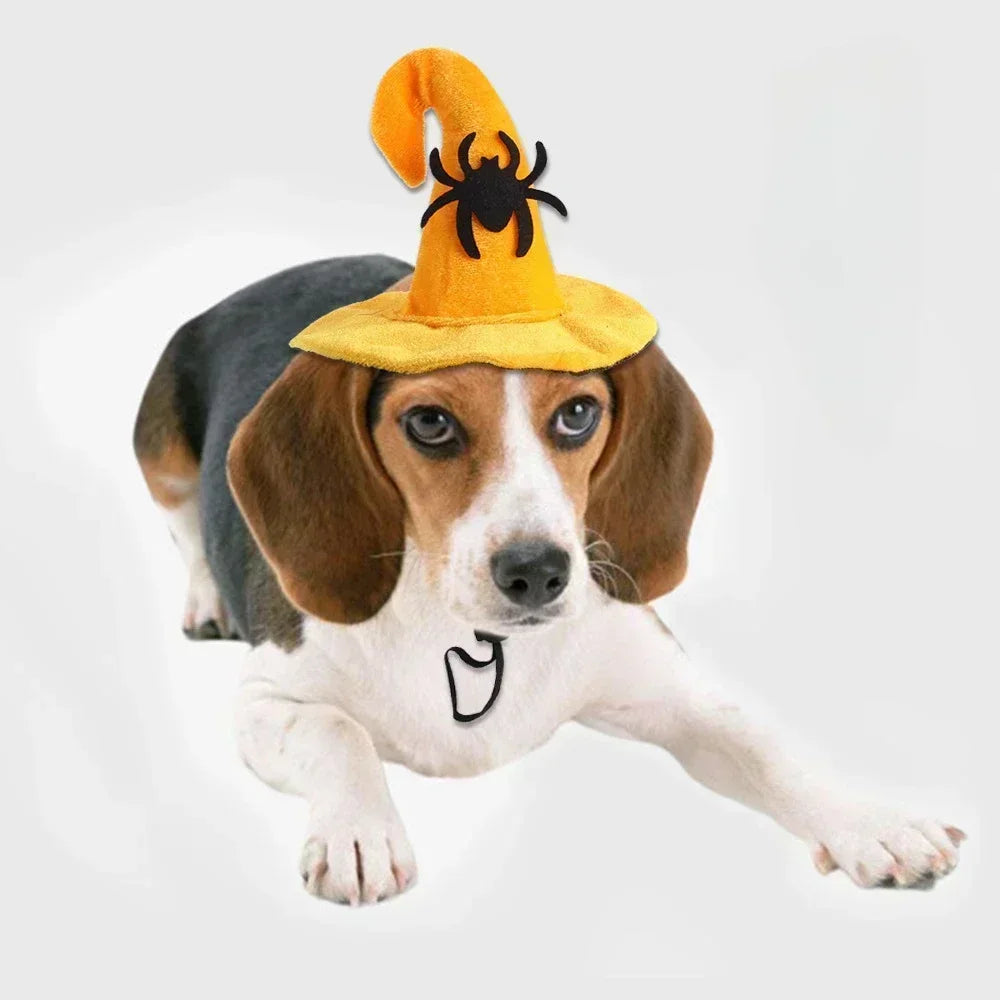 Fashion Halloween Pet Costumes