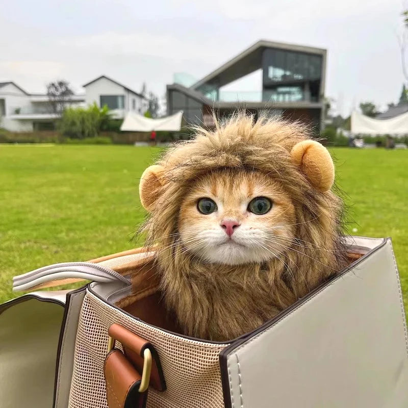 Lion Costume