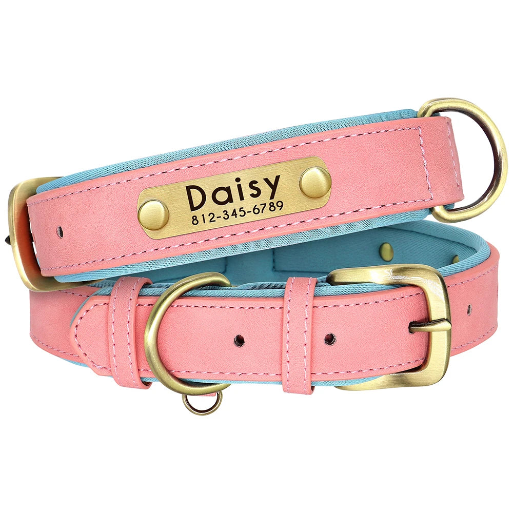 Customized Soft Padded Leather Collar