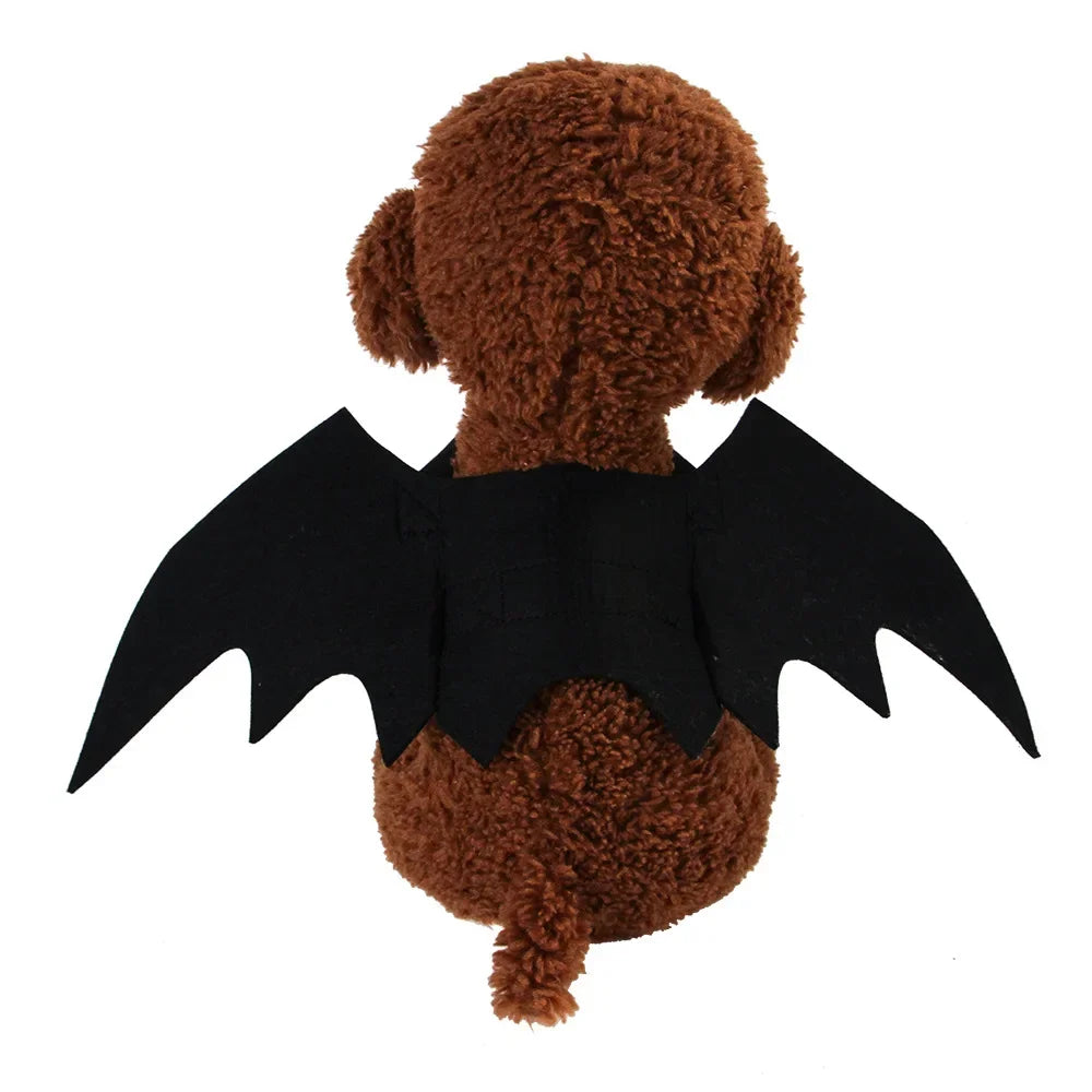 Fashion Halloween Pet Costumes