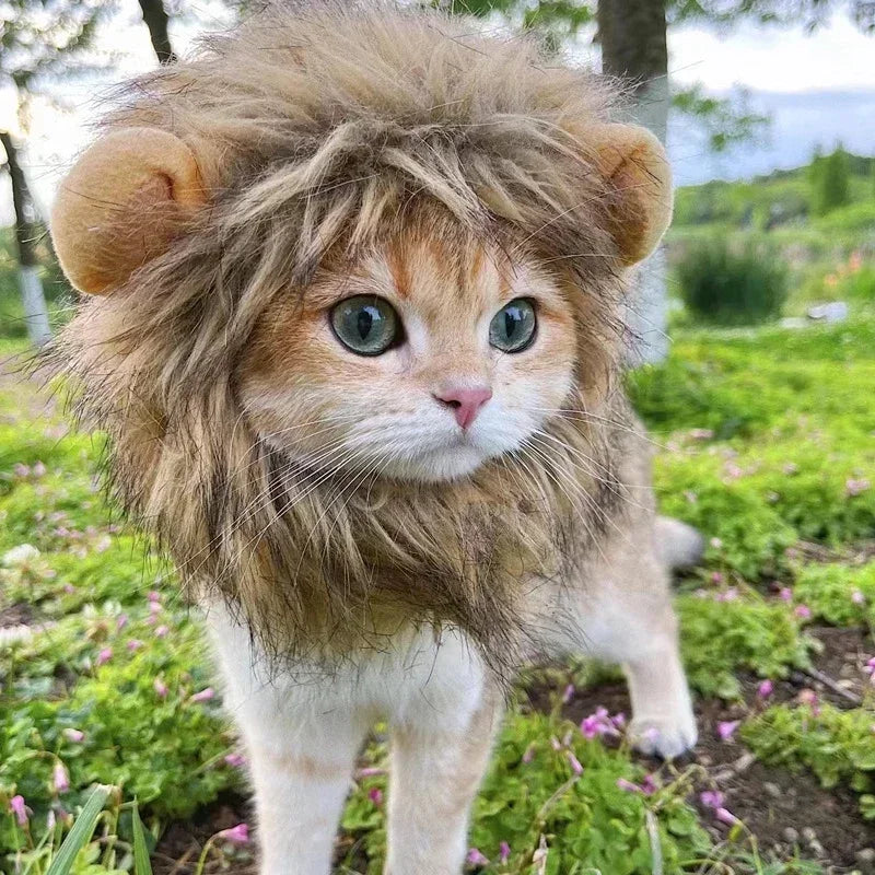 Lion Costume