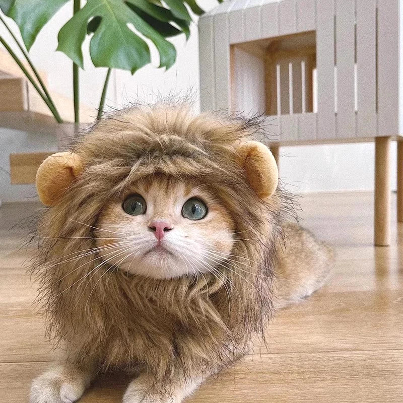 Lion Costume