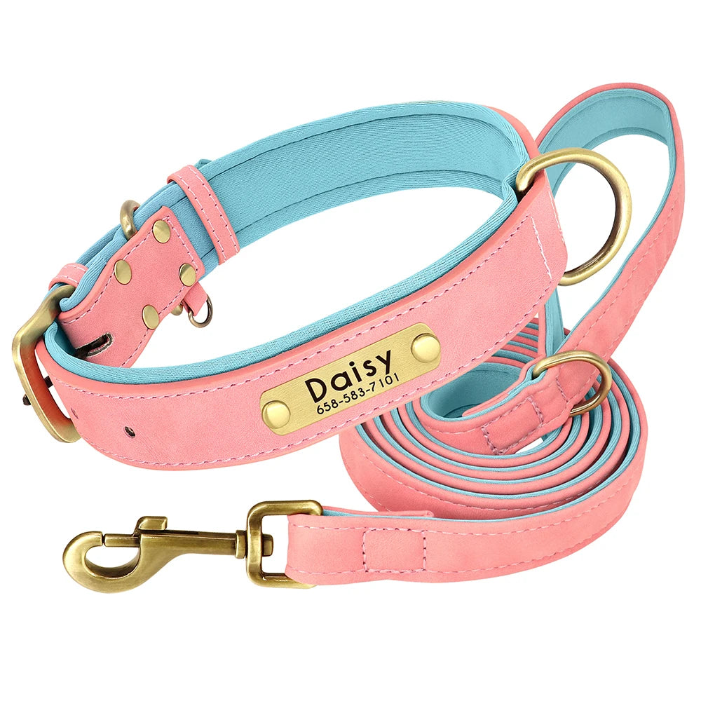 Customized Soft Padded Leather Collar