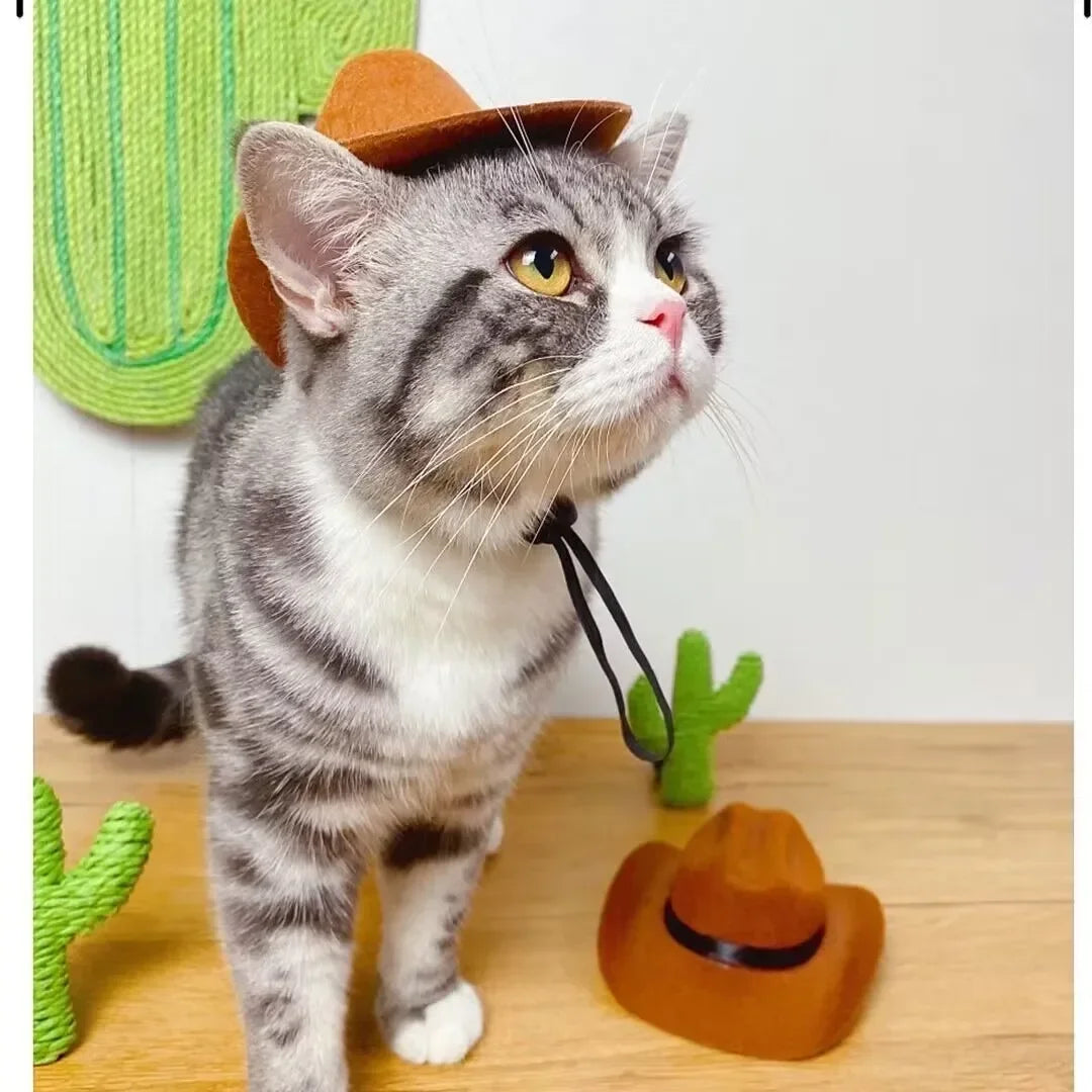 Fashion Halloween Pet Costumes