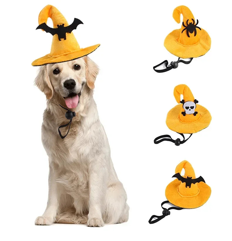 Fashion Halloween Pet Costumes