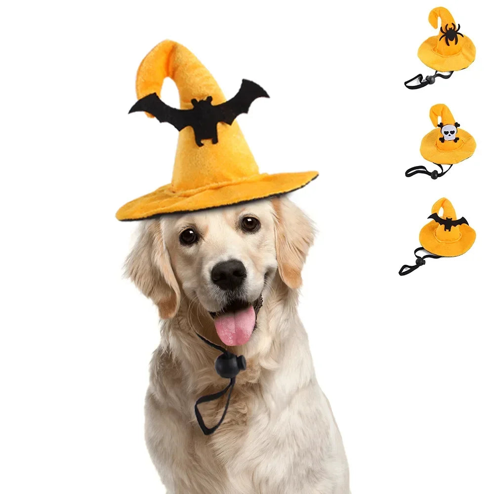 Fashion Halloween Pet Costumes