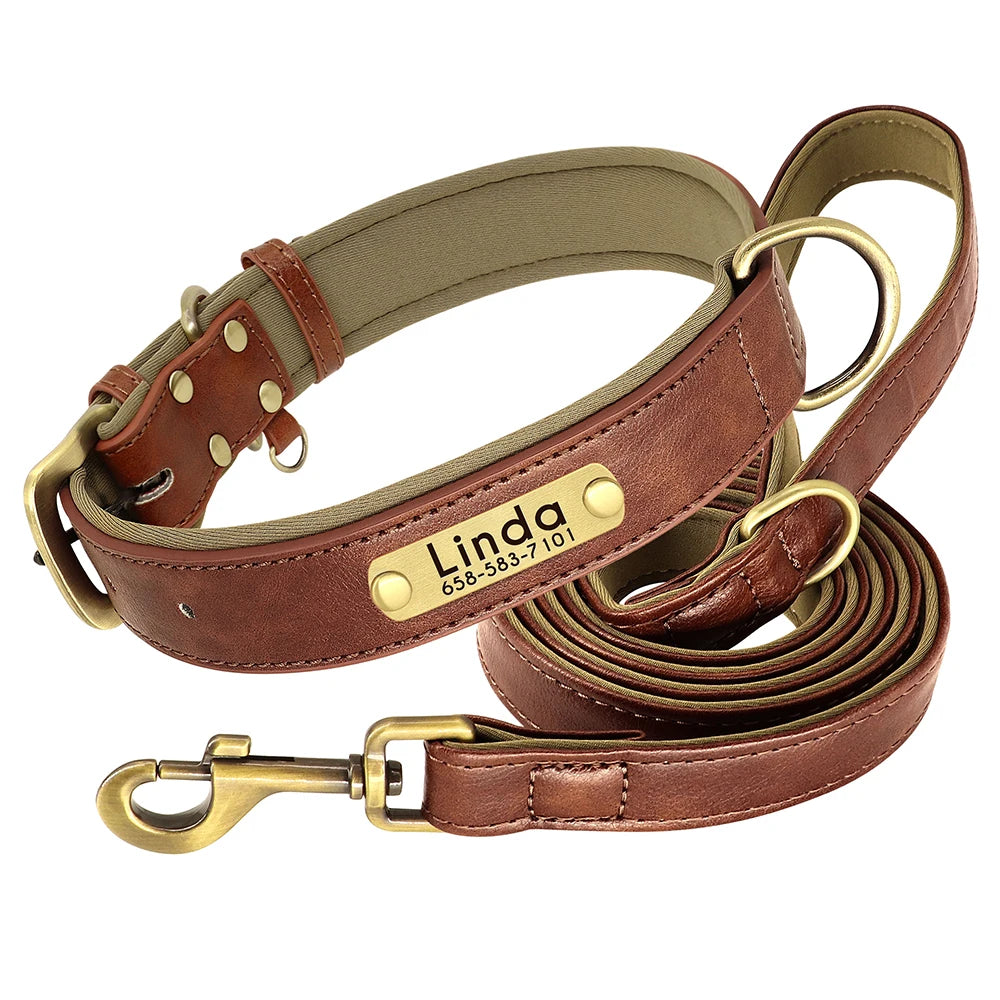 Customized Soft Padded Leather Collar
