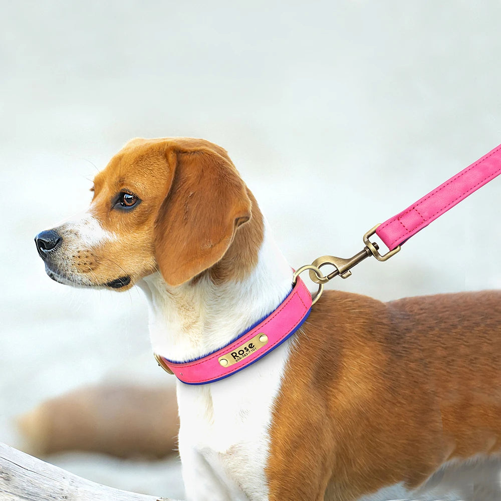 Customized Soft Padded Leather Collar