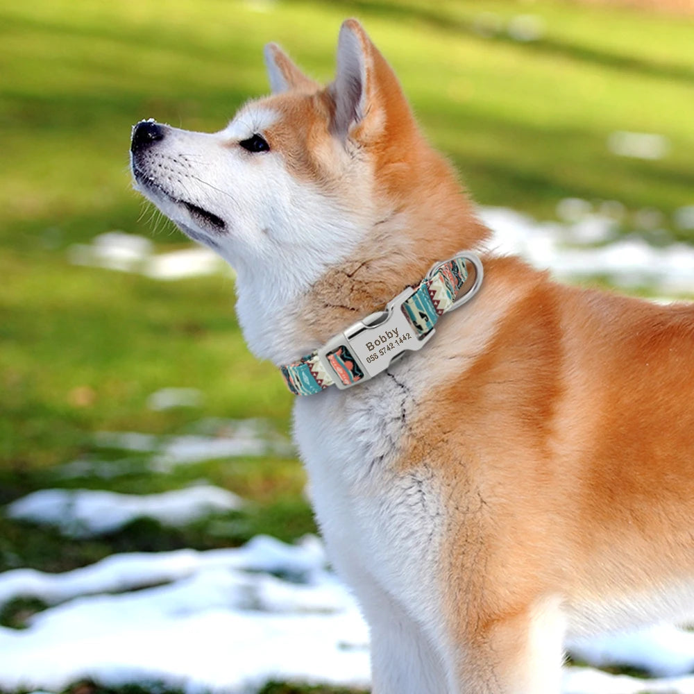 Personalized Dog Collar With Printed ID