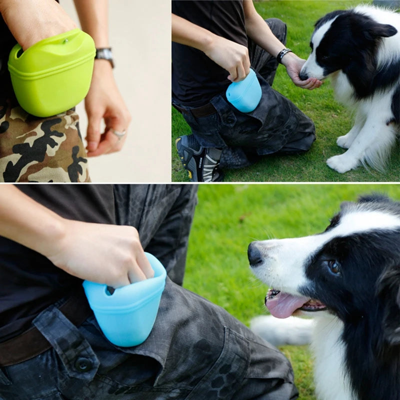 Pet Treat Bag