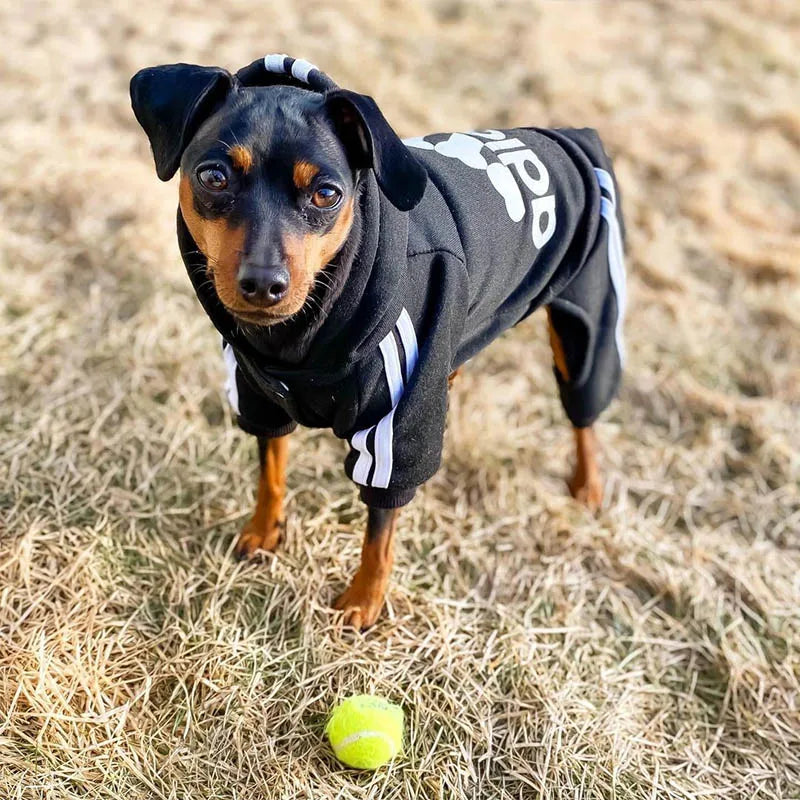 Pet Clothes With Hood