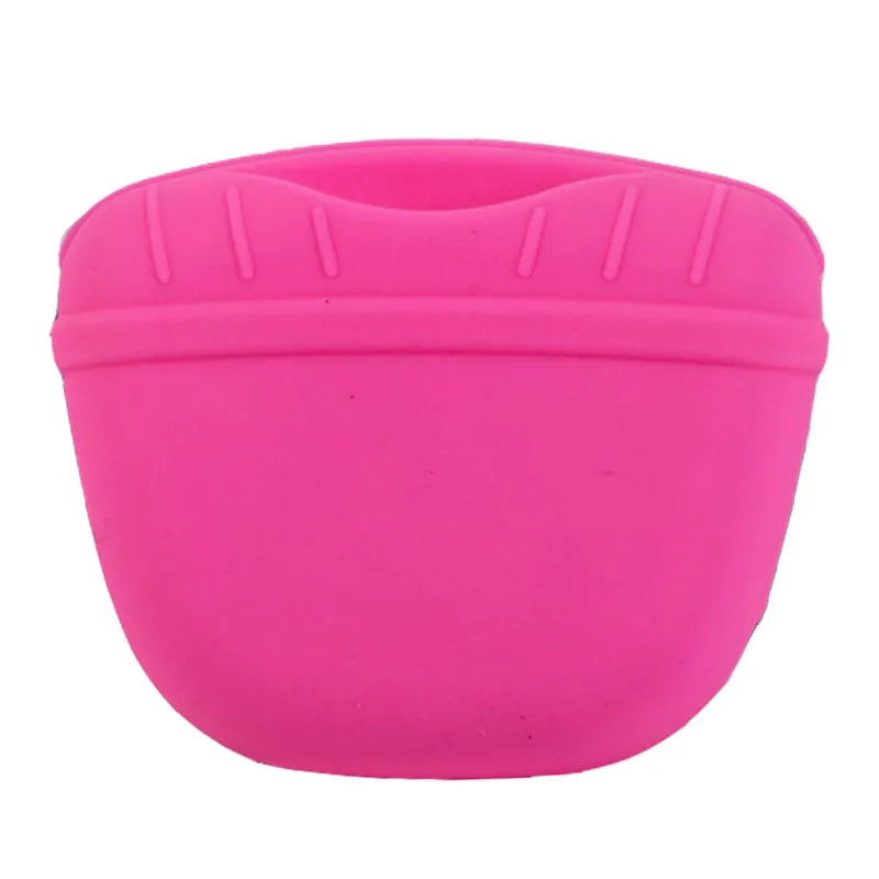 Pet Treat Bag