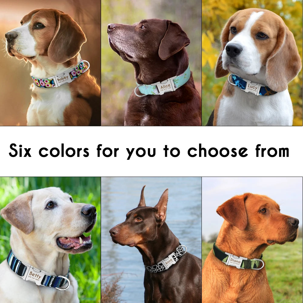 Personalized Dog Collar With Printed ID